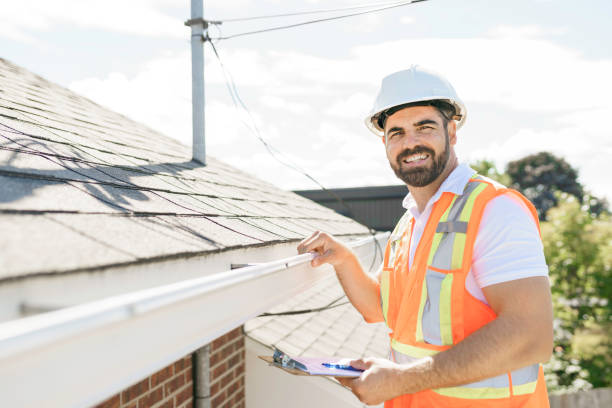 Roof Gutter Cleaning in Plainview, MN