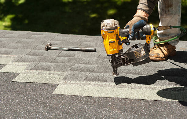 Roof Gutter Cleaning in Plainview, MN